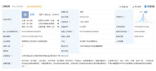 羅永浩官宣新創業公司Thin Red Line，目標AR行業教育咨詢