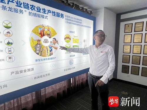 數智養豬場 AI管家全天候守護，教育咨詢開啟智能養殖新篇章